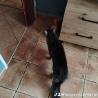 watermark-179b3b8729c907ec5affb5830762a2f1_0
