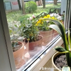 watermark-07821c26981901b670a369f1dcdad692_0