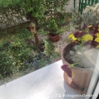 watermark-5b878a02d6ad291b152312e059d674ae_0