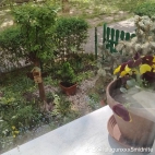 watermark-16421ef11ba6aef9f86914f01ea91fdc_0
