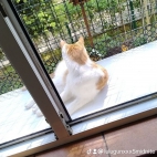 watermark-a2fac57511232cc276442fad5d5cc97b_0