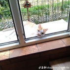 watermark-b28b5b8fcf88c01b5e865962cbd2d5b9_0