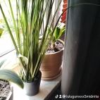 watermark-b6ccdf0f1541a44f7827a4936aa398b1_0