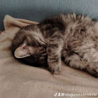 watermark-cdc34d811ec528fe50832e983f4698c2_0