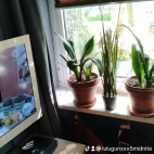 watermark-baa94ad259a3e781f02782c4c01c87e6_0