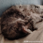 watermark-4d20eb6190016e5a654d8fc6b6b1832f_0