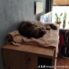 watermark-3c3064b7a928a0ea6543ba1aea06f1a1_0