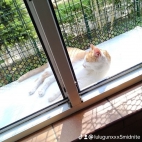 watermark-662b78f2ca160de6a3e4e6bf259823e2_0