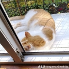 watermark-583f2dec57d5e0d4ca33b44bc90e4afe_0