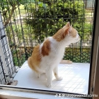watermark-5283a8b09b4f036db6f365eeb9510b86_0