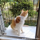 watermark-2a5d9e761e5c969577103ee3749a50e5_0