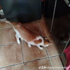 watermark-46082b9b7433e82e4d7064033292114d_0