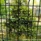 watermark-b2e1d57555a8228479dac67e72645c3e_0
