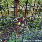 watermark-c76d585b00f4d176efe05c13dbb5ad22_0