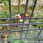 watermark-276181d39e2f8bf4225cdddad0b5f34a_0