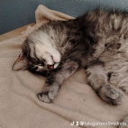 watermark-cfc13a990bd7c5ddeb4c6d47e3f992d4_0