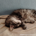 watermark-28809fd1017b39b65e9e0e3460a7fae4_0