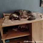 watermark-806de930d3fce322b5e5a363f0dde474_0