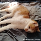 watermark-a92165bb04f2904ec3768bc1ebb0d185_0