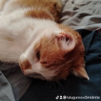 watermark-f6bf12b922a7dc78fdc0eb30ff9f8f56_0