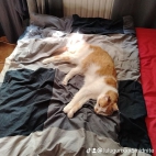 watermark-e065566d6002b90aa335f720ef84f408_0