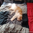 watermark-aa566e080474d589502dfa29750a1c54_0