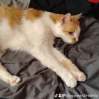 watermark-5d3d2caadd9db1fb6d5b4543ca137955_0