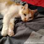 watermark-1f2a97207e94210bc56afd77bbc88269_0
