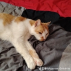 watermark-603e5ab16c34c77074291ef8a07a170e_0