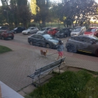 IMG_20260525_072635
