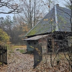 w lesie nie zaśnie nikt. 13
