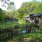 w lesie nie zaśnie nikt. 14