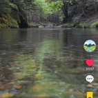 Screenshot_20260826_165907_com_zhiliaoapp_musically_MainActivity