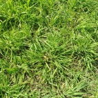 IMG_20260826_141817
