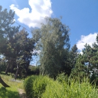 IMG_20260826_141804