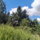 IMG_20260826_141803