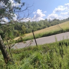IMG_20260826_141729