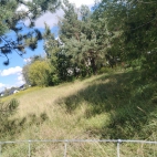 IMG_20260826_141722