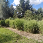 IMG_20260826_141643