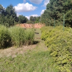 IMG_20260826_141640