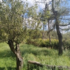 IMG_20260826_141602