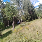 IMG_20260826_141534
