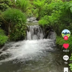 Screenshot_20260826_123735_com_zhiliaoapp_musically_MainActivity