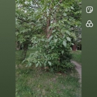 Screenshot_20260826_102806_com_zhiliaoapp_musically_SAASceneWrapperActivity