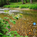 Screenshot_20260822_161844_com_facebook_katana_ImmersiveActivity