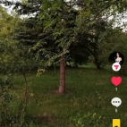 Screenshot_20260817_074441_com_zhiliaoapp_musically_MainActivity