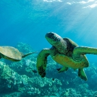 hawaii_10