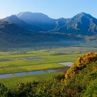 hawaii_11