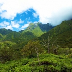 hawaii_13