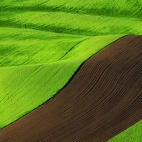 landscapes-236a